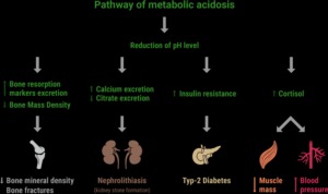 pathway-of-metabolid-acidosis_02